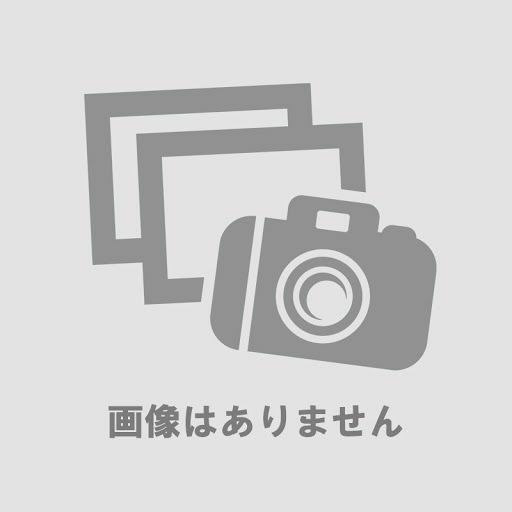 NANKAI パワーコンプマフラー・タイプ3 CM-03専用 補修用 アルミカラー